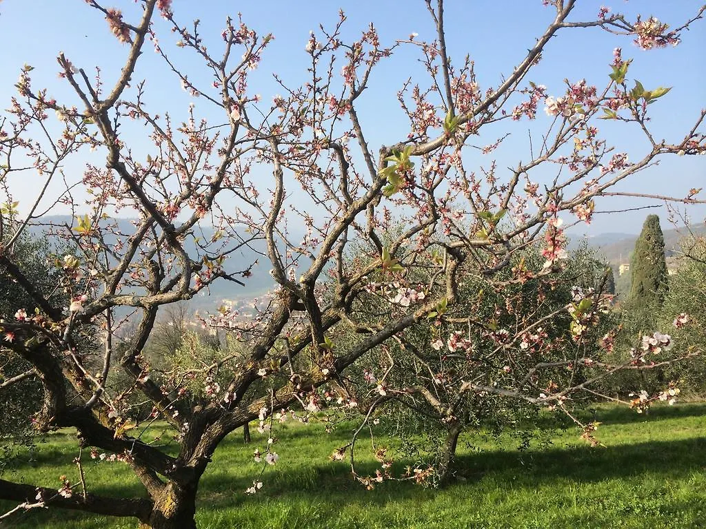 Gospodarstwo agroturystyczne Agriturismo Il Pianetto Werona