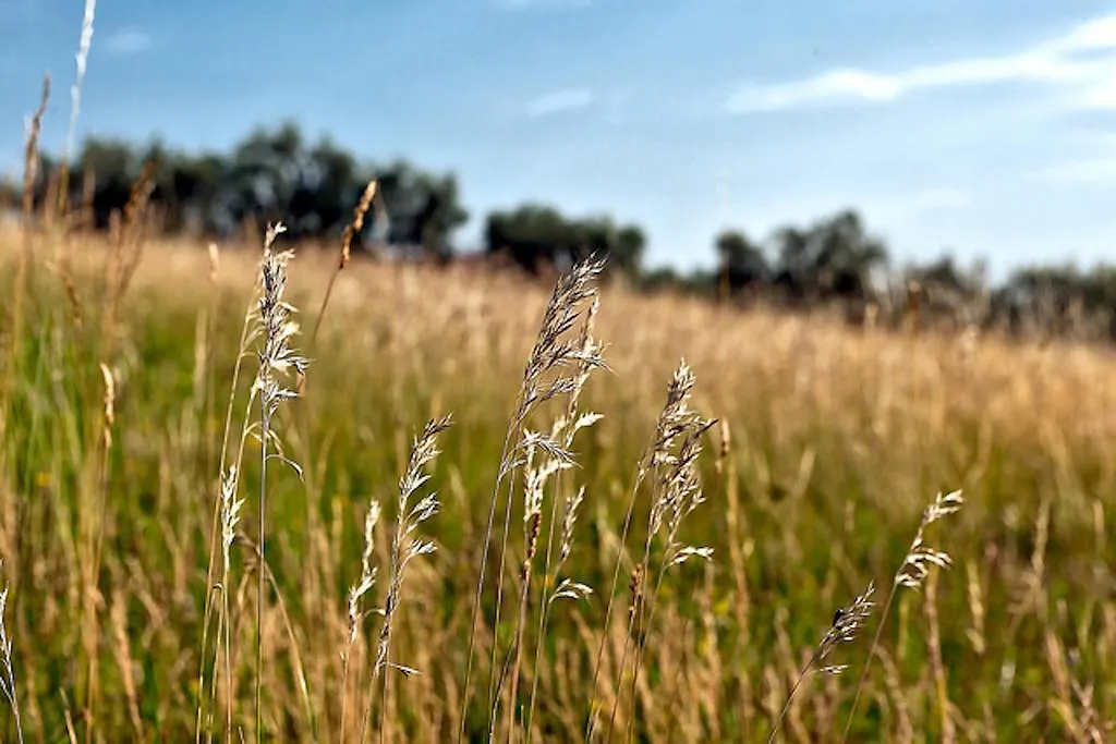 Gospodarstwo agroturystyczne Agriturismo Il Pianetto Werona